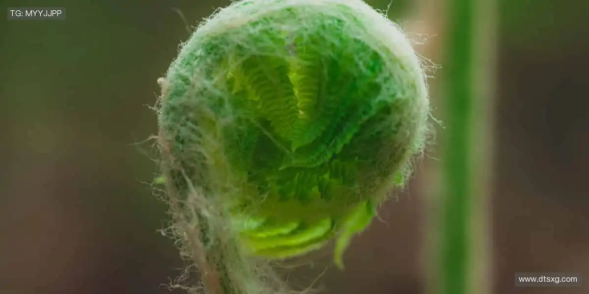 🏆官方正品，解锁你的运动潮流！🎁